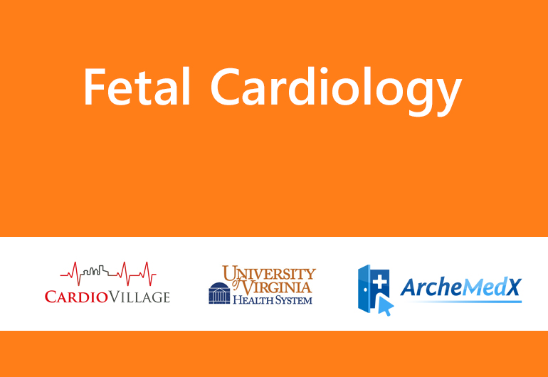 Fetal Cardiology Series